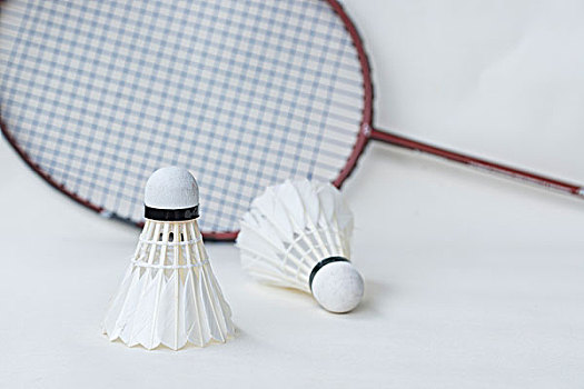 为什么有些 为什么有些