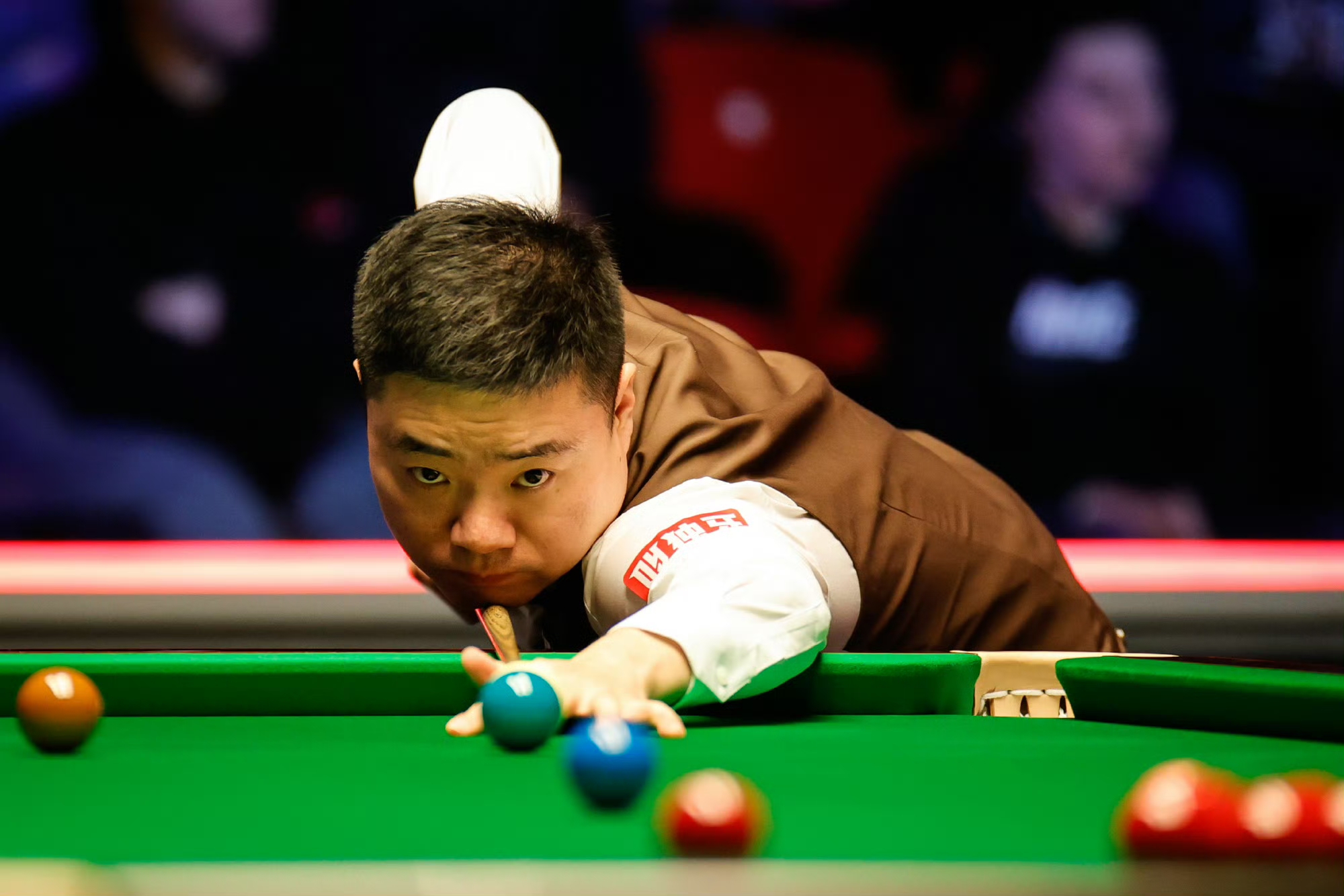 迷的目光 迷的目光