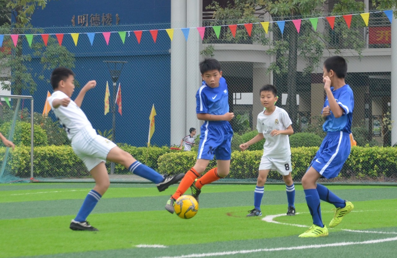 的一部分 的一部分